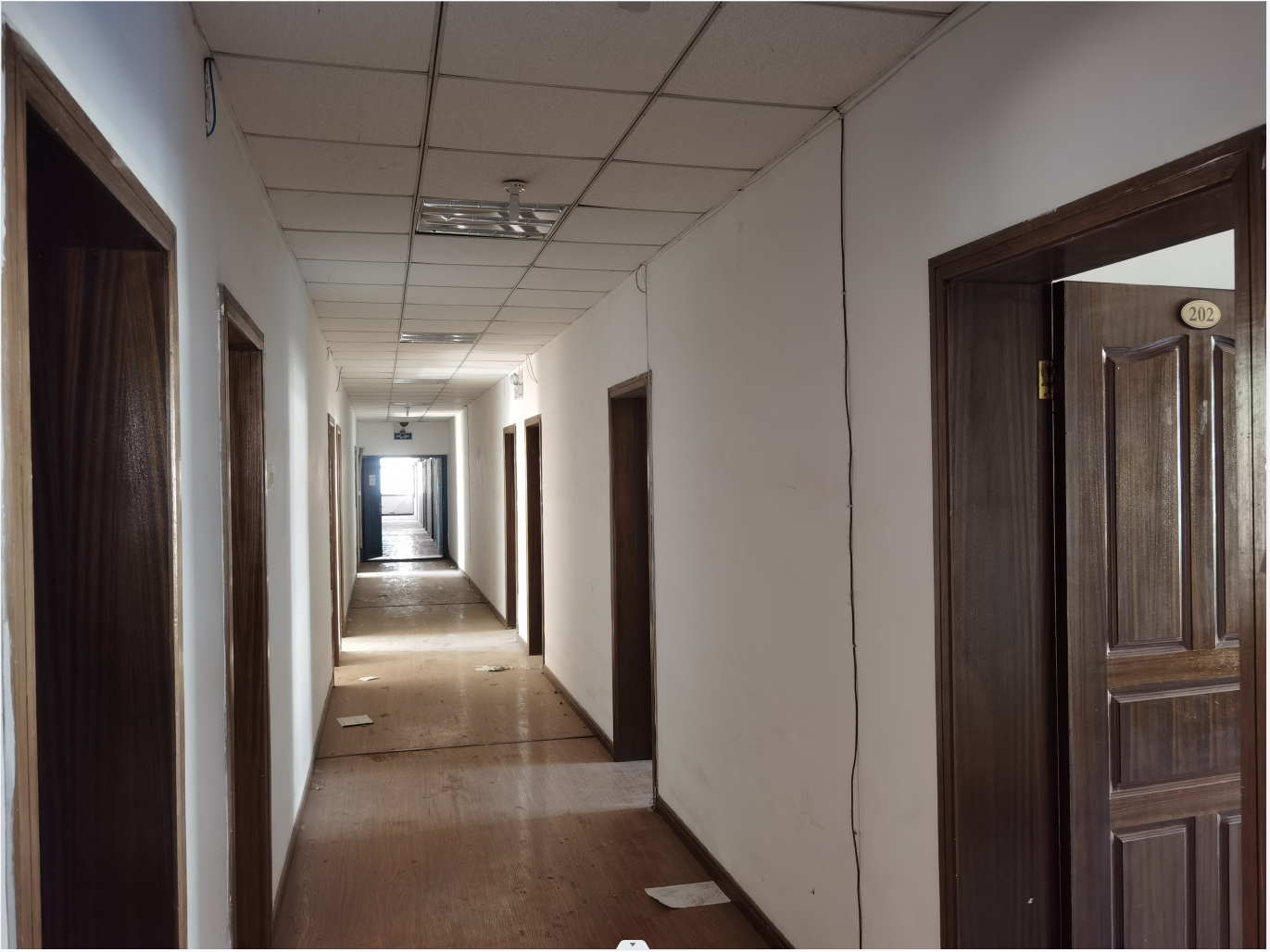 1667199158702780.png 5555.png